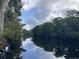 Scenic river view with lush trees on both sides, reflecting the cloudy sky, and Spanish moss hanging from branches at 969 Oak Hollow St., Longs, SC 29568
