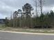 A vacant lot showing mixed trees and vegetation, ready for development and building at 969 Oak Hollow St., Longs, SC 29568