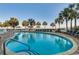 Sparkling blue pool with lounge chairs and palm trees around the perimeter at 2006 N Ocean Blvd. # 876, Myrtle Beach, SC 29577