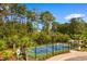 Well-maintained community tennis court surrounded by lush trees and landscaping at 2602 Blue Crane Circle # 104, Myrtle Beach, SC 29577