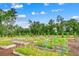 Explore the vibrant community garden plots, providing residents a space to grow fresh produce at 694 Harrison Mill St., Myrtle Beach, SC 29579