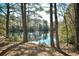 Scenic view of a tranquil pond surrounded by lush trees creating a peaceful and private atmosphere at 1144 Harvest Circle # 1144, Myrtle Beach, SC 29579