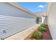 Side view of a home with light gray siding and a walkway bordered by mulch and green bushes at 1541 Palmina Loop # C, Myrtle Beach, SC 29588