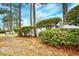 View of the landscaped yard with trimmed hedges and tall pine trees at 3506 Evergreen Way # 3506, Myrtle Beach, SC 29577