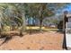 A brick patio with a fenced-in yard, tall trees, and a glimpse of a small storage building at 4350 Goude St., Murrells Inlet, SC 29576