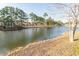 Scenic view of a tranquil pond surrounded by mature trees and natural landscaping at 537 Botany Loop # 537, Murrells Inlet, SC 29576