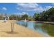 Tranquil community pond featuring a fountain and surrounding greenery at 591 Meadowgrass Ct., Myrtle Beach, SC 29588