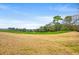 Scenic golf course view with lush green fairways and mature trees in the background at 30 Baldwin Loop, Pawleys Island, SC 29585
