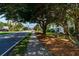 Street view with mature trees, palm trees, and sidewalk at 405 21St Ave. S # 1-O, North Myrtle Beach, SC 29582