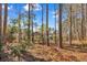 Lush backyard view showcasing mature trees, verdant undergrowth, and a glimpse of the home at 6634 Cinnamon Fern Ln., Myrtle Beach, SC 29588