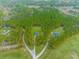 Aerial view of a home nestled in a forest, with a long driveway and expansive grounds at 1930 W Homewood Rd., Conway, SC 29526
