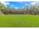 Vast, verdant backyard framed by tall trees offers privacy and a natural setting at 1930 W Homewood Rd., Conway, SC 29526
