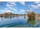 Scenic lake view featuring a tranquil waterscape with wildlife and a tree silhouette against a vibrant blue sky at 501 Maison Dr. # E20, Myrtle Beach, SC 29572