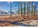 Expansive backyard with mature trees and lush ground cover at 6839 Blue Heron Blvd. # 105, Myrtle Beach, SC 29588