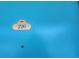 Unit door painted bright blue featuring number 226 at 1600 Ocean Blvd. S # 226, Myrtle Beach, SC 29577