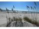 Scenic beach featuring dunes with native grasses overlooking the serene ocean at 307 River Rock Ln. # 906, Murrells Inlet, SC 29576