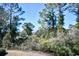 Backyard with many green features at 5801 Oyster Catcher Dr. # 723, North Myrtle Beach, SC 29582
