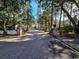 Tree lined street with overhead branches at 999 Algonquin Dr. # E, Pawleys Island, SC 29585
