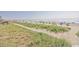 Wide shot of the sandy beach with beachgoers and boardwalk access at 2000 N Ocean Blvd. # 1509, Myrtle Beach, SC 29577