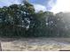 View of the lot available for building in a wooded area in Forestbrook Townhomes in Myrtle Beach, SC at 262 Christiana Ln. # F, Myrtle Beach, SC 29579