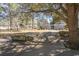 Community space with seating, mature trees, and a walkway leading to the entrance at 4115 Little River Rd. # 4-F, Myrtle Beach, SC 29577