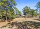 Beautifully landscaped grounds and mature trees at 4787 Wild Iris Dr. # 203, Myrtle Beach, SC 29577