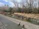 View of pair of ducks in yard eating seeds near waterway at 633 White Oak Ln., North Myrtle Beach, SC 29582