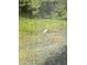 View of great blue heron in grassy waterway at 633 White Oak Ln., North Myrtle Beach, SC 29582
