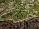 A lovely aerial view shows the property lines of the beautiful wooded land parcel at 762 Wraggs Ferry Rd., Georgetown, SC 29440