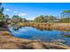 The backyard features a pond with views of the home at 144 Springfield Rd., Pawleys Island, SC 29585