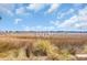 Picturesque backyard landscape featuring a lush marsh and neighboring houses under a bright sky at 3 Half Shell Ct., Pawleys Island, SC 29585