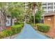 Walkway leading to a pool with lush landscaping, including palms and various plants at 4800 S Ocean Blvd. # 204, North Myrtle Beach, SC 29582