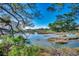 Overlooking the scenic golf course and water with building in the distance, surrounded by lush greenery at 9671 Stillwater Ct., Myrtle Beach, SC 29572