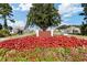 Entrance to Berkshire Forest community showcasing a beautiful sign with colorful flower beds at 2652 Ellesmere Circle, Myrtle Beach, SC 29579