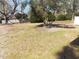 A spacious backyard featuring a mix of green and dry grass with mature trees at 633 Redwood Ave. # 1, Myrtle Beach, SC 29577