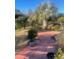 Well-maintained backyard with a brick patio, lush lawn, and a variety of trees at 1575 Berkshire Ave., Myrtle Beach, SC 29577