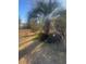 Landscaped backyard with decorative palm tree and a black iron fence surrounding the perimeter at 1575 Berkshire Ave., Myrtle Beach, SC 29577