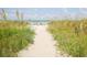 Scenic beach access path with lush greenery leading to a tranquil ocean view, perfect for leisurely strolls and relaxation at 212 58Th Ave. N # 1C, North Myrtle Beach, SC 29582