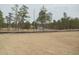 Scenic view of land near a development showing natural beauty and ample space at 252 Warner Crossing Way, Loris, SC 29569
