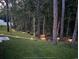 The landscaped backyard featuring ambient lighting offers a peaceful and inviting nighttime retreat at 378 Dunbarton Ln., Conway, SC 29526