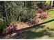 A beautifully landscaped garden with flowering bushes and solar lights enhances the natural charm of the property at 378 Dunbarton Ln., Conway, SC 29526
