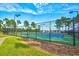 Well-maintained tennis court with lighting and fencing, surrounded by green space at 3065 Moss Bridge Ln., Myrtle Beach, SC 29579