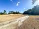 Scenic view of the community featuring lush greenery and a winding golf cart path at 488 Greenview Dr. # 1, Johnsonville, SC 29555