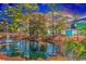 Charming community pond with fountain and tree lined properties in view at 1006 Charles St., North Myrtle Beach, SC 29582