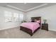 Cozy bedroom with neutral carpet, ample natural light, and a trey ceiling at 10141 Hamilton Branch Loop, Myrtle Beach, SC 29579