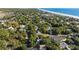 Breathtaking aerial view showcases homes amidst a verdant landscape near the picturesque beach at 108 Cole Dr., Pawleys Island, SC 29585