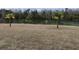 Scenic backyard view with palm trees and a serene lake at 1261 Pineridge St., Conway, SC 29527