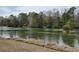 Scenic view of the pond with lush trees at 1261 Pineridge St., Conway, SC 29527