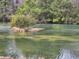 Picturesque pond view with lush greenery and serene reflections of the surrounding trees at 1261 Pineridge St., Conway, SC 29527