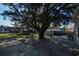 Fenced backyard with mature shade trees, storage shed, picnic table and lawn care equipment at 1916 Jasper St., Georgetown, SC 29440